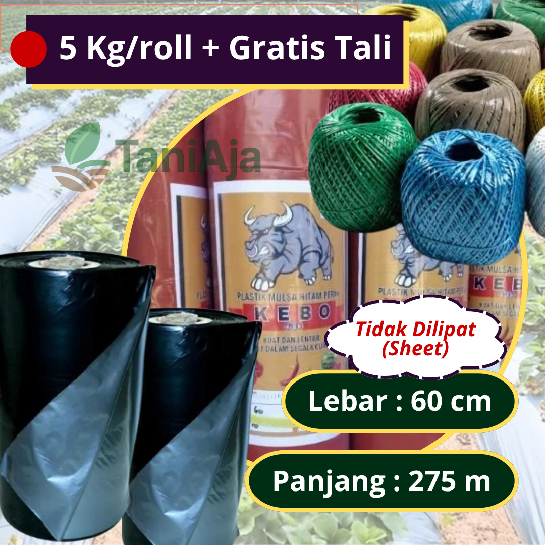 Plastik Mulsa Hitam Perak 5Kg Ukuran 60cm 120cm x 140m Bonus Rafia